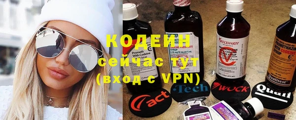 шишки Армянск