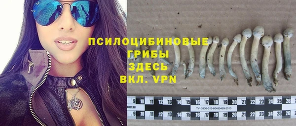 тгк Аркадак