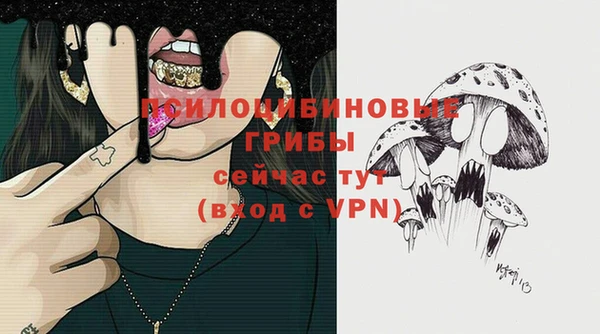 тгк Аркадак