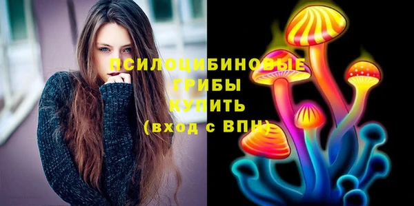 шишки Армянск