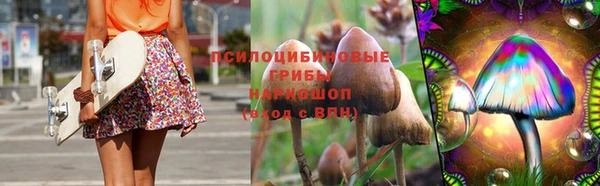 шишки Армянск