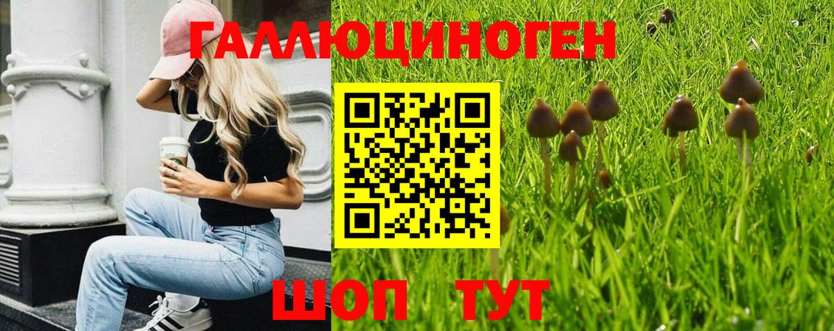 Галлюциногенные грибы MAGIC MUSHROOMS  Псилоцибиновые грибы Psilocybe  Краснокаменск  Вход с VPN 