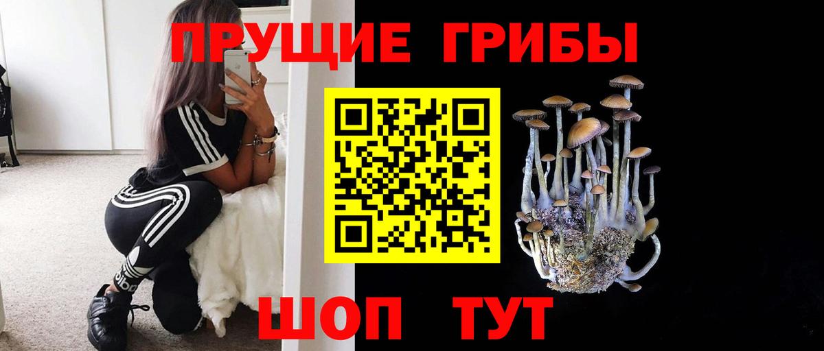 Галлюциногенные грибы мухоморы Краснокаменск